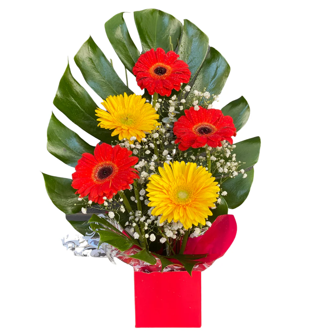 Small Box of Gerberas - Image 2