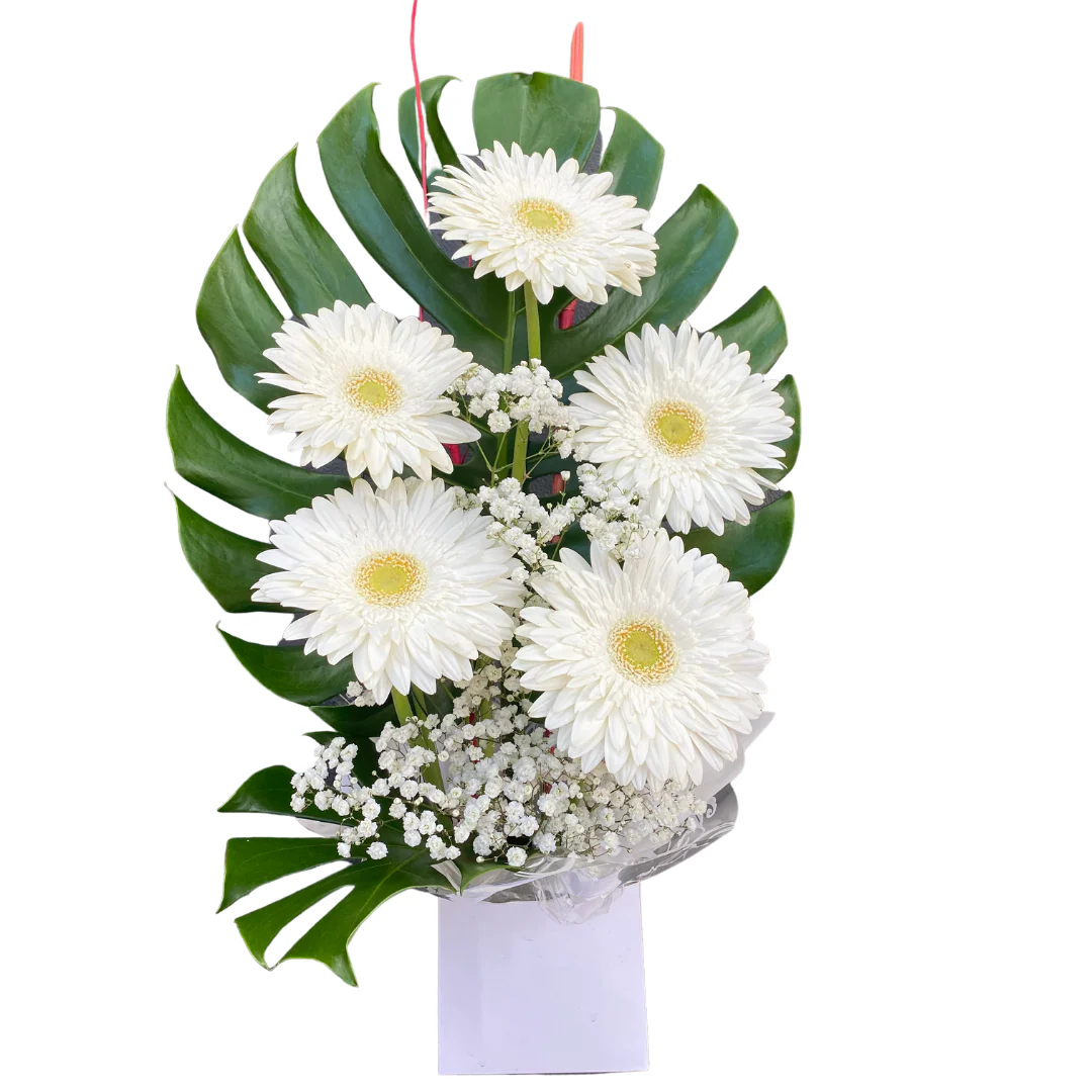 Small Box of Gerberas - Image 3