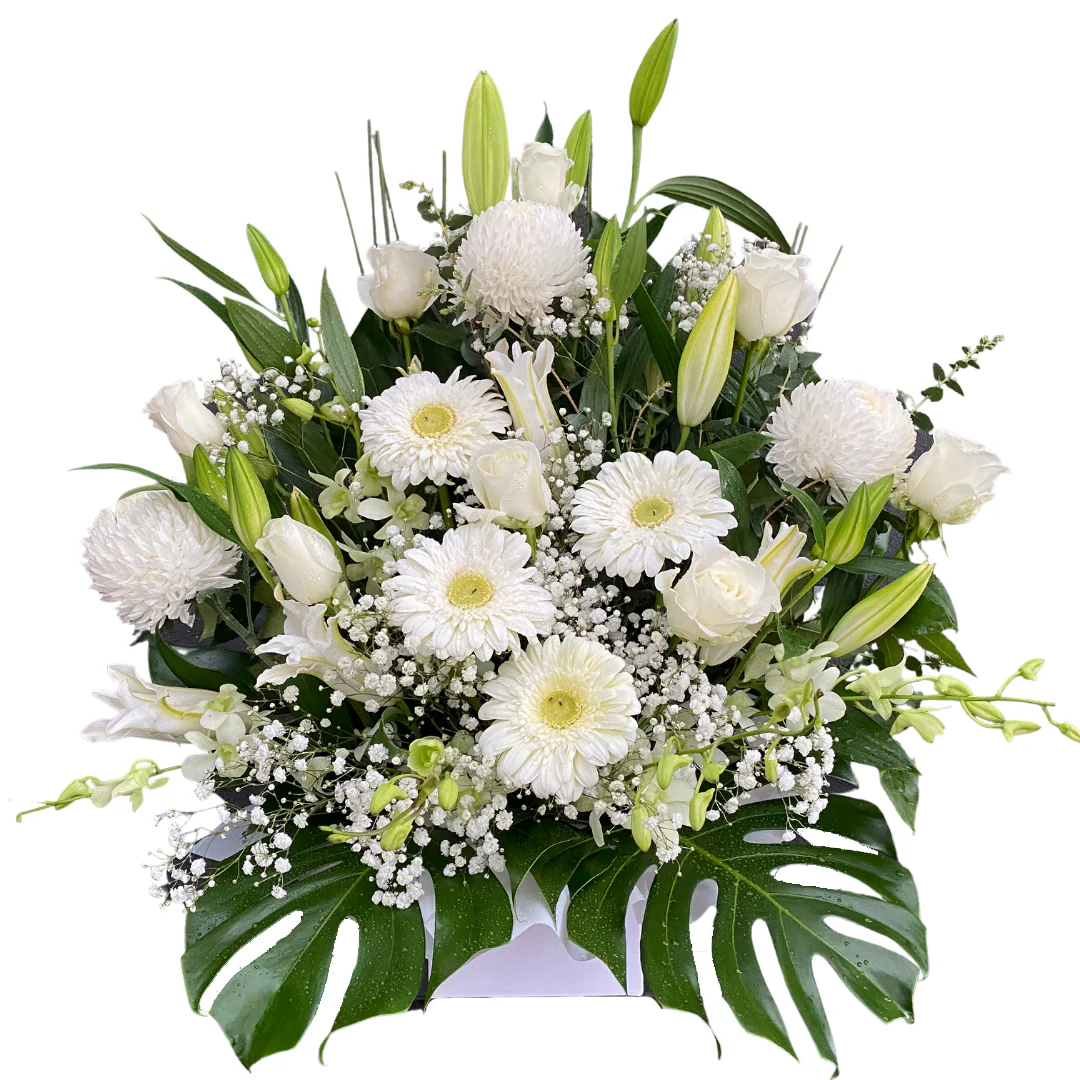 Extra Large Box Arrangement - Assorted