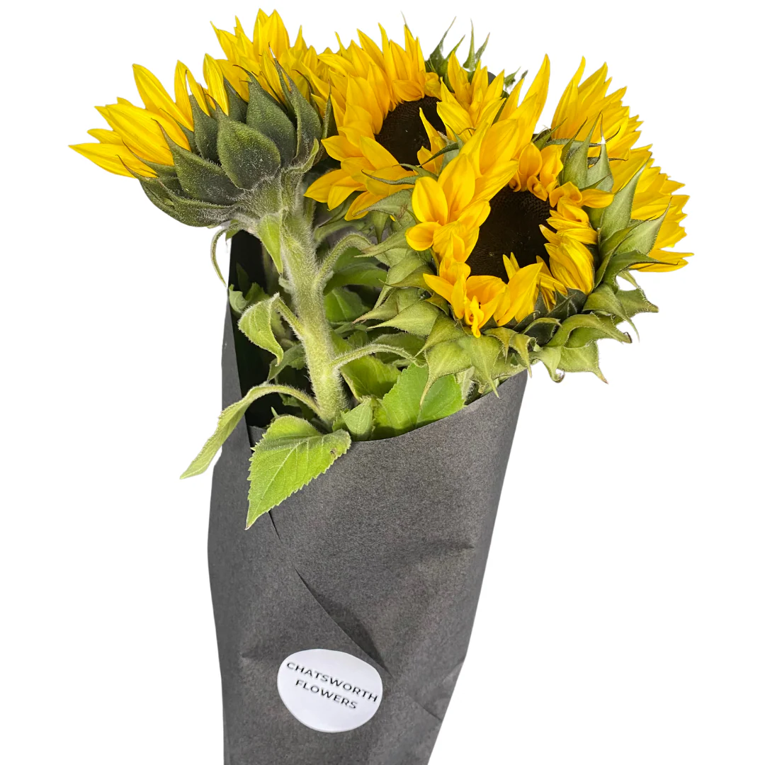 Sunflowers - Image 2